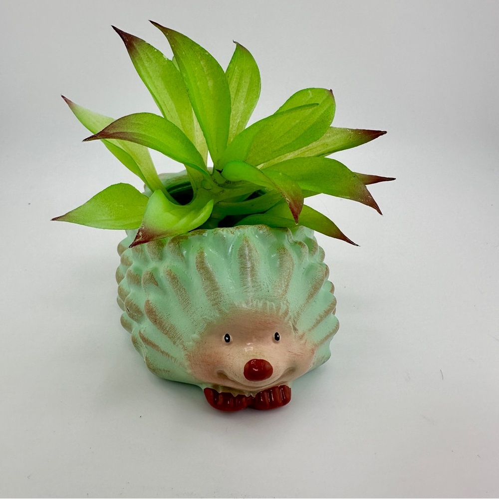 New Adosble Hedgehog Succulent Flower Pot Resin
